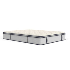 14 Sofinity Hybrid Plus Medium-Soft