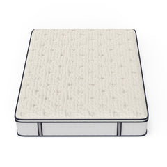 14 Sofinity Hybrid Plus Medium-Soft