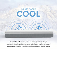 10” EcoCore Hybrid Premium - Medium Firm