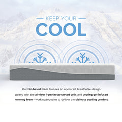 12” EcoCore Hybrid Deluxe - Medium Plush