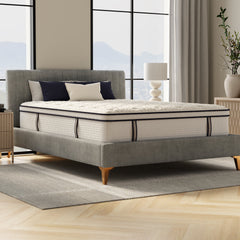 14 Sofinity Hybrid Plus Medium-Soft