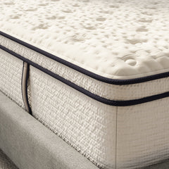 14 Sofinity Hybrid Plus Medium-Soft