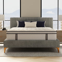 14 Sofinity Hybrid Plus Medium-Soft